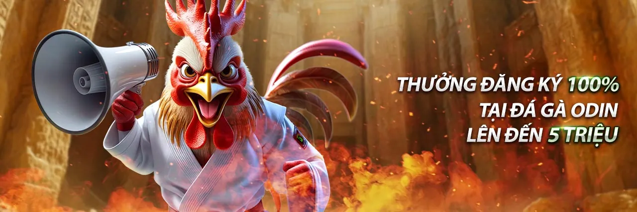 Sân vận động bóng đá với khán giả cuồng nhiệt, thể hiện tinh thần cá cược thể thao trực tuyến tại suncity top